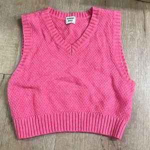 Aritzia sweater vest